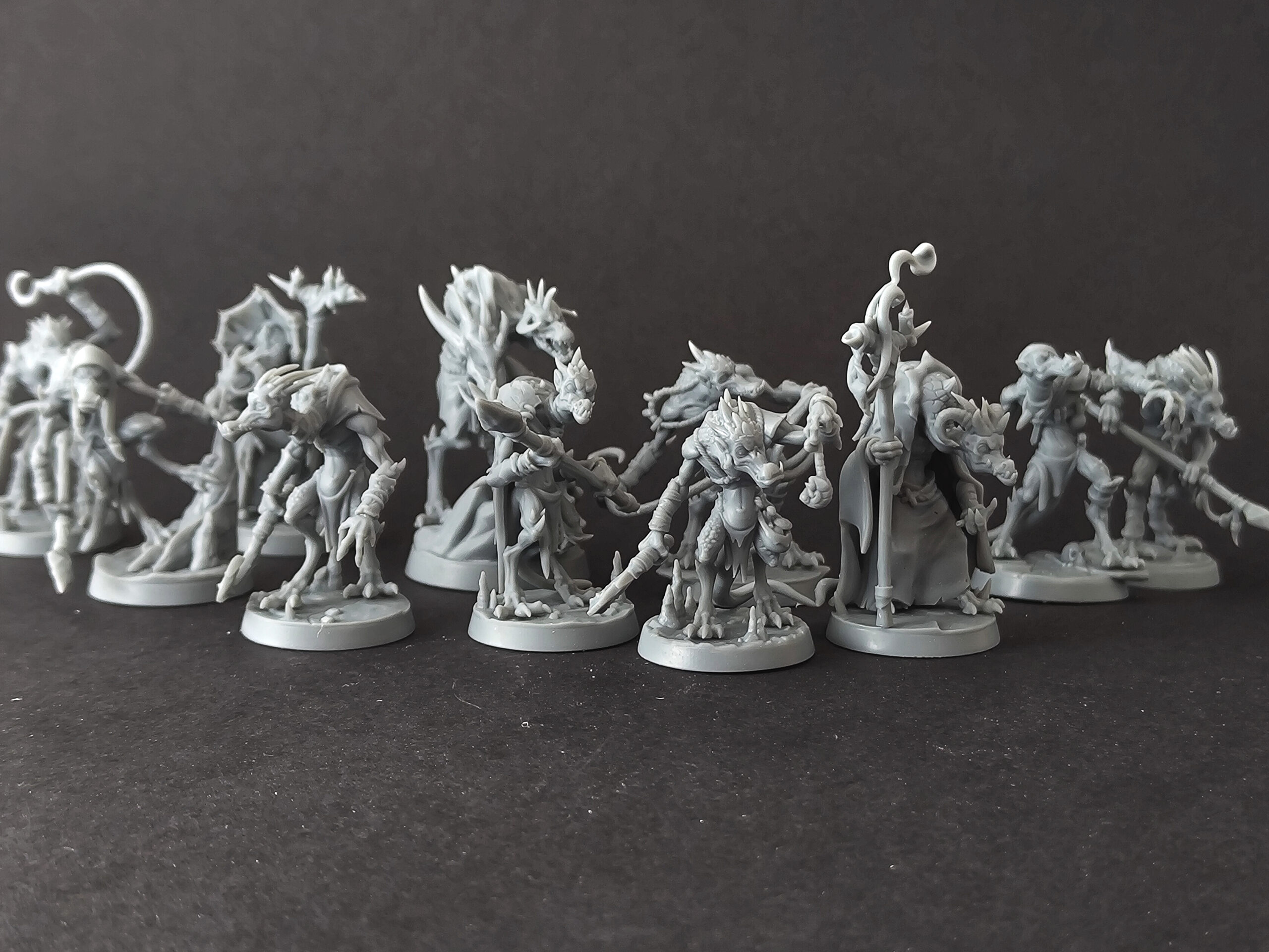 Dray Warband Set (x 11)